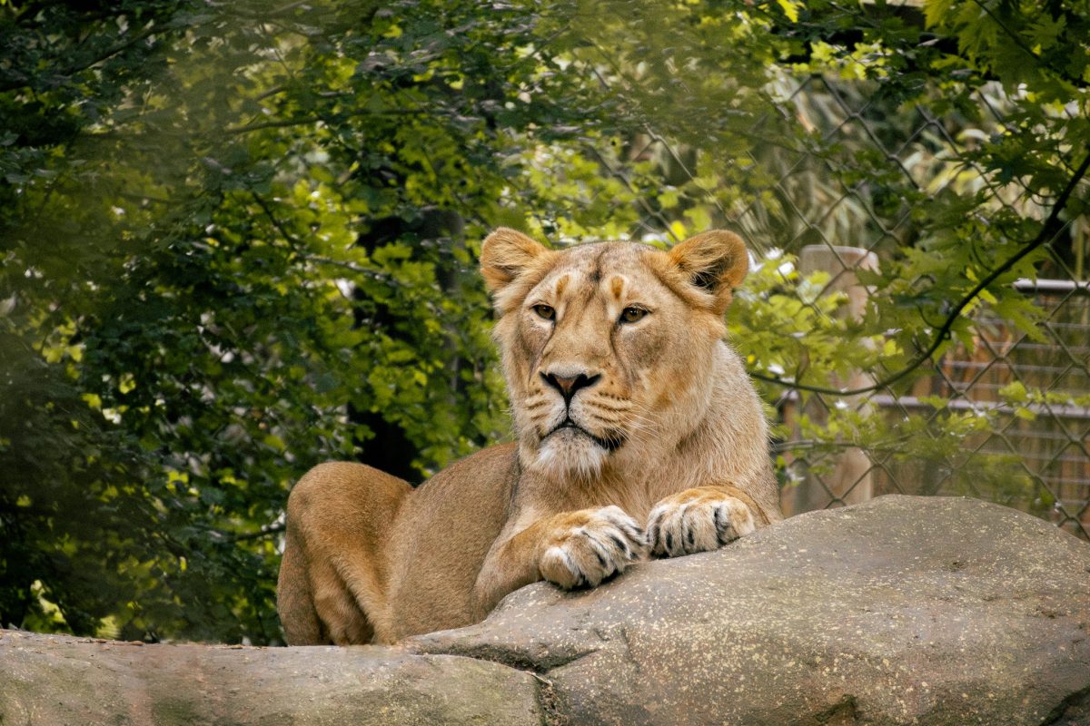 ZOO Ostrava